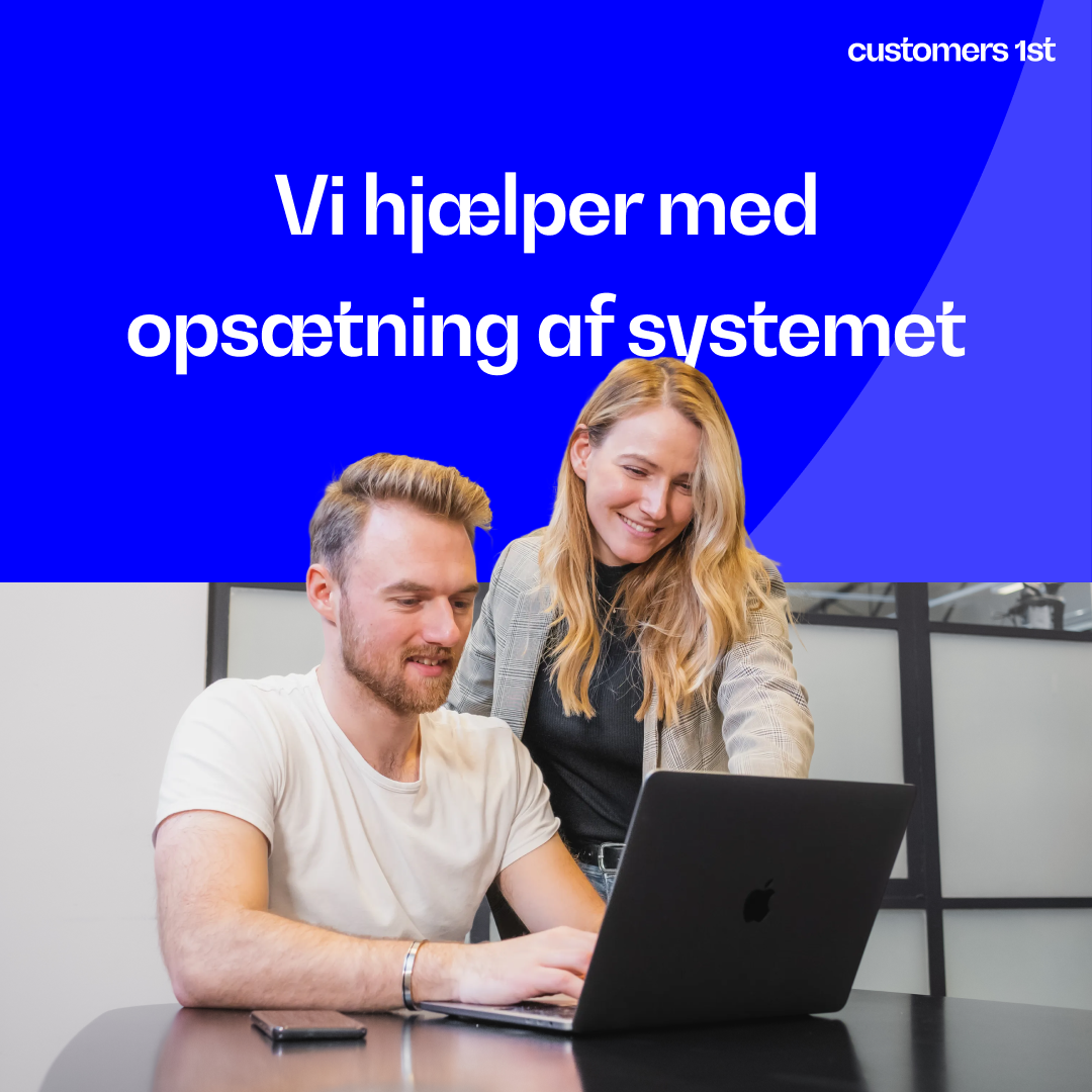 Leverandøren tilbyder hjælp til opsætning af hele eller dele af systemet